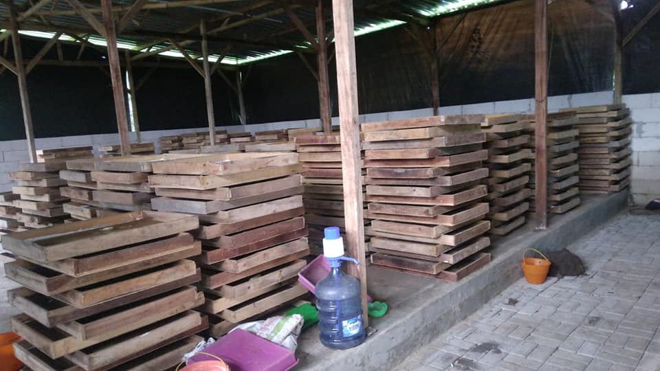 Tri Dharma budi daya ulat